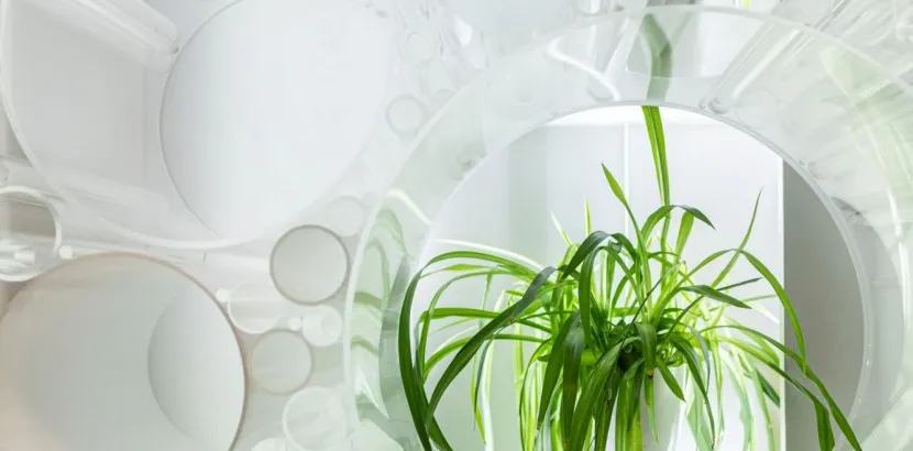 PLEXIGLAS® XT tube